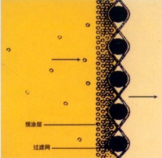 2010121210449113.jpg